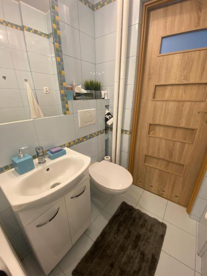 Vicky - New Centrum Srodmiescie Apartment Warsaw