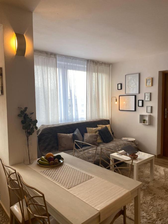 Vicky - New Centrum Srodmiescie Apartment Warsaw